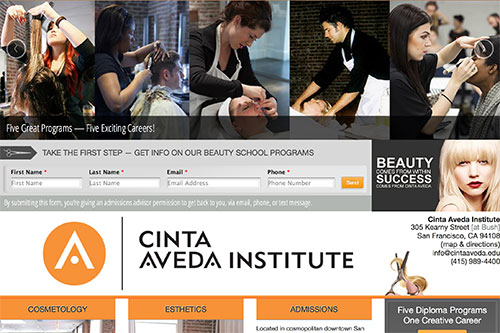 Cinta Aveda Beauty Institute Home Page